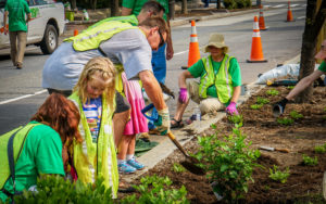 community members work together on a planting project