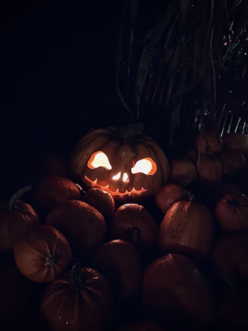Spooky Season: Halloween Events Near You