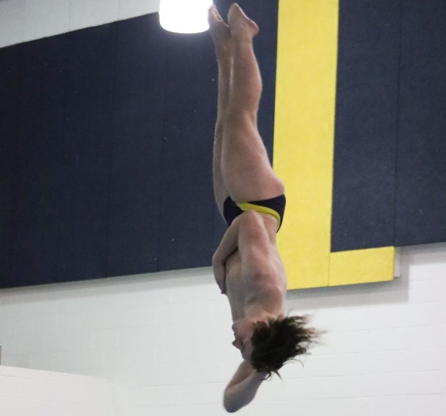 Diving+in%21+Mitchel+Brown+leaps+into+the+water+in+a+graceful+dive.