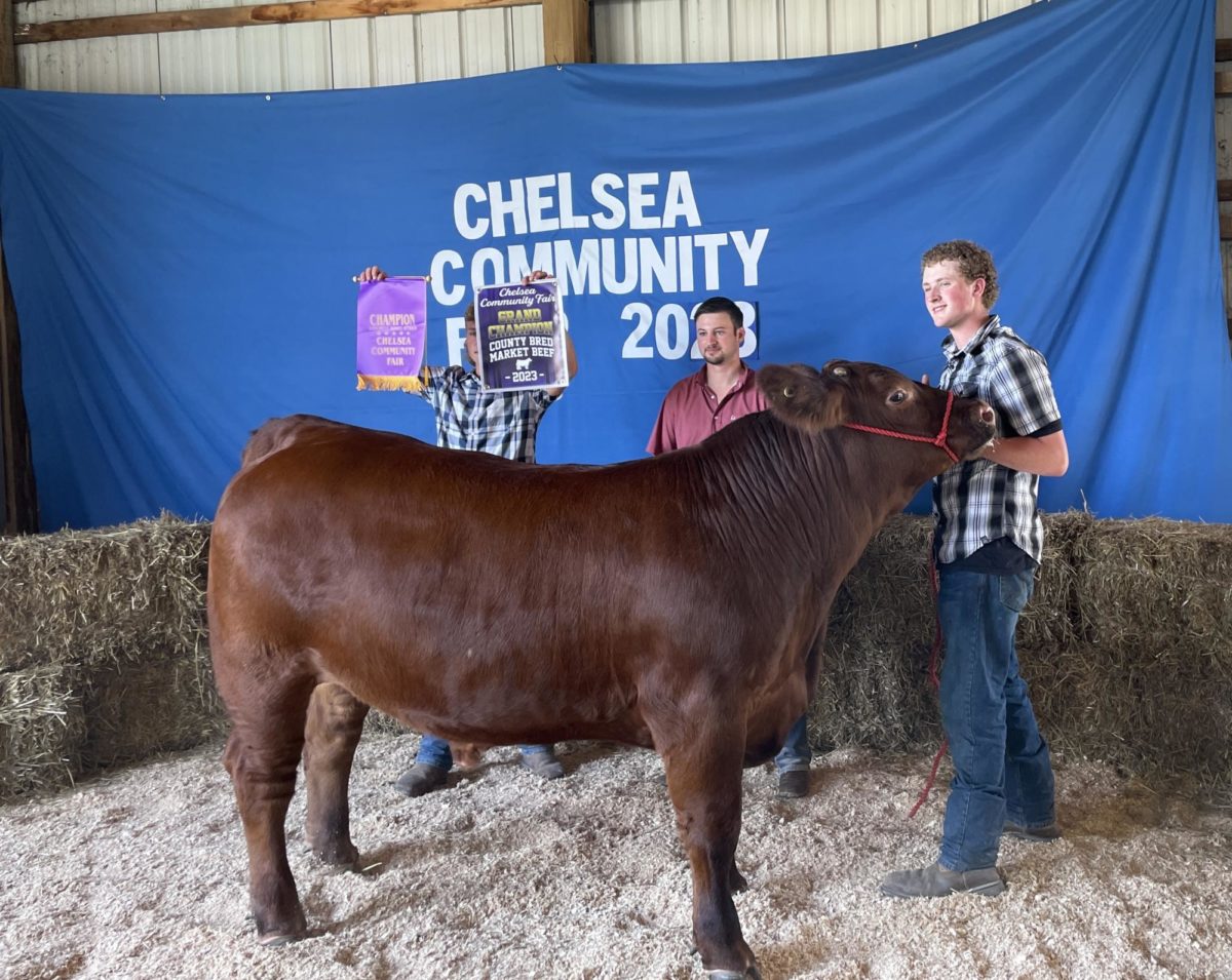CHS Junior Andrew Szpara Wins County Bred Champion at the 85th Annual Chelsea Community Fair