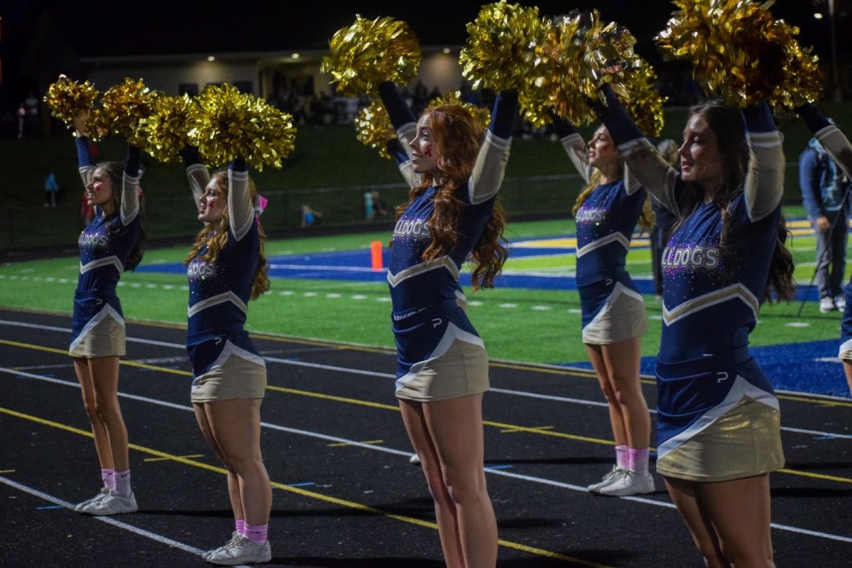 Flipping the Script: The Intriguing World of High School Cheerleader Supporters