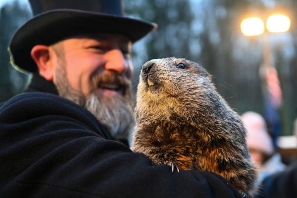 Spring Anticipation: Groundhog Days Promise of Sunshine and Fun