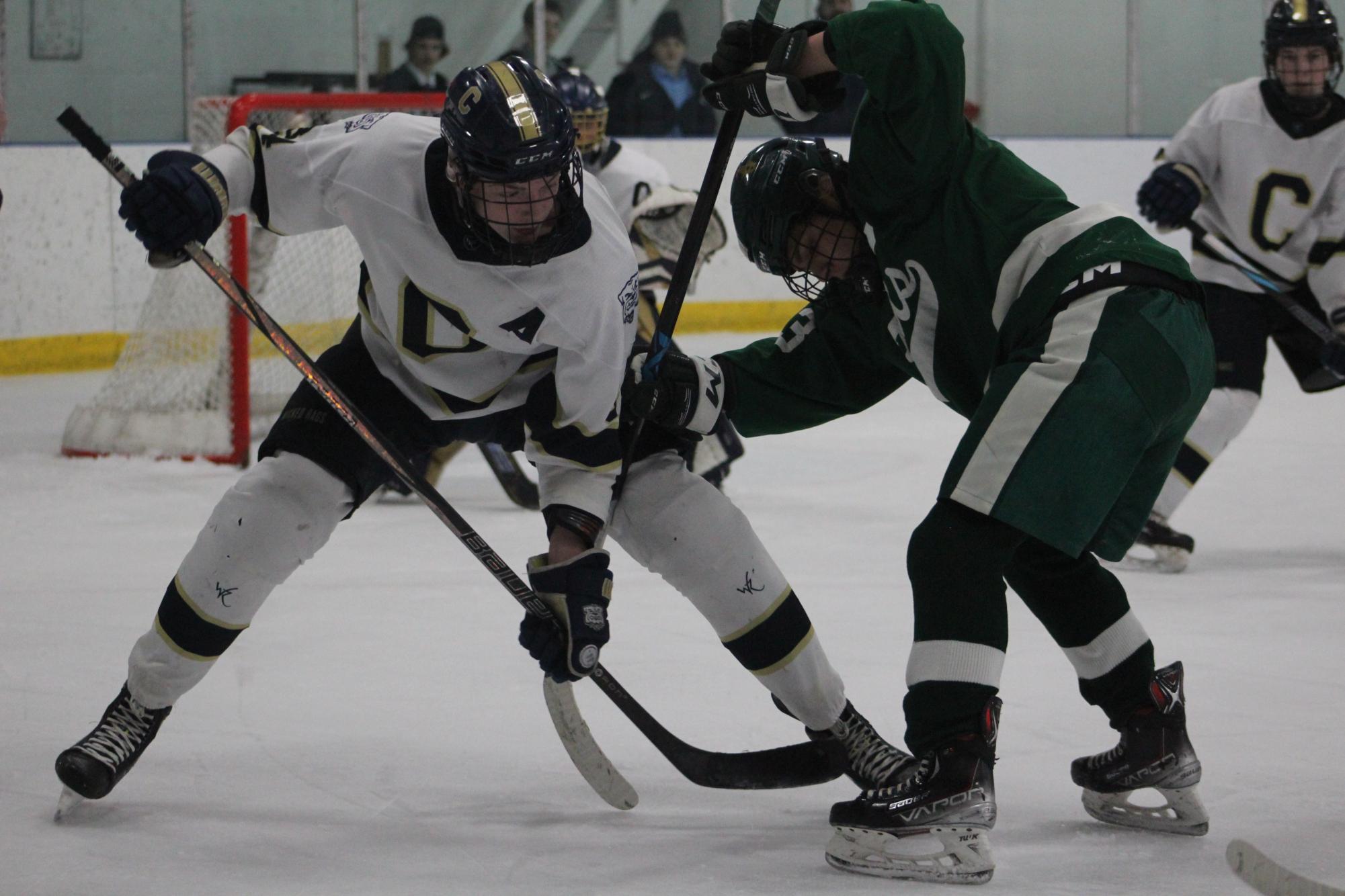 Skates, Sticks, and Speed: Hockey Photo Gallery