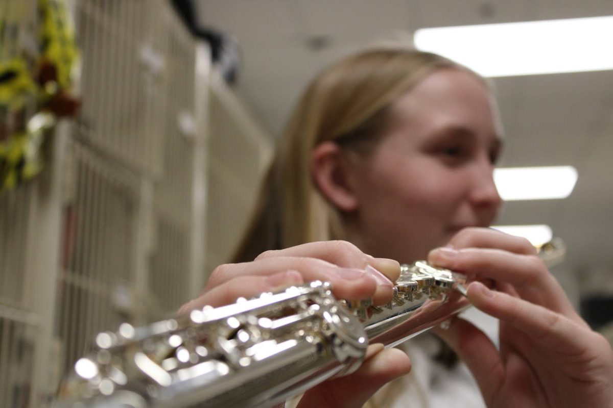 Wind Symphony: Navigating Audition Nerves