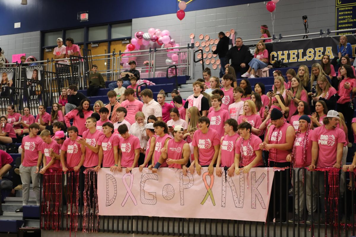 Women in Leadership Club Honors Breast Cancer Awareness Through Community Involvement