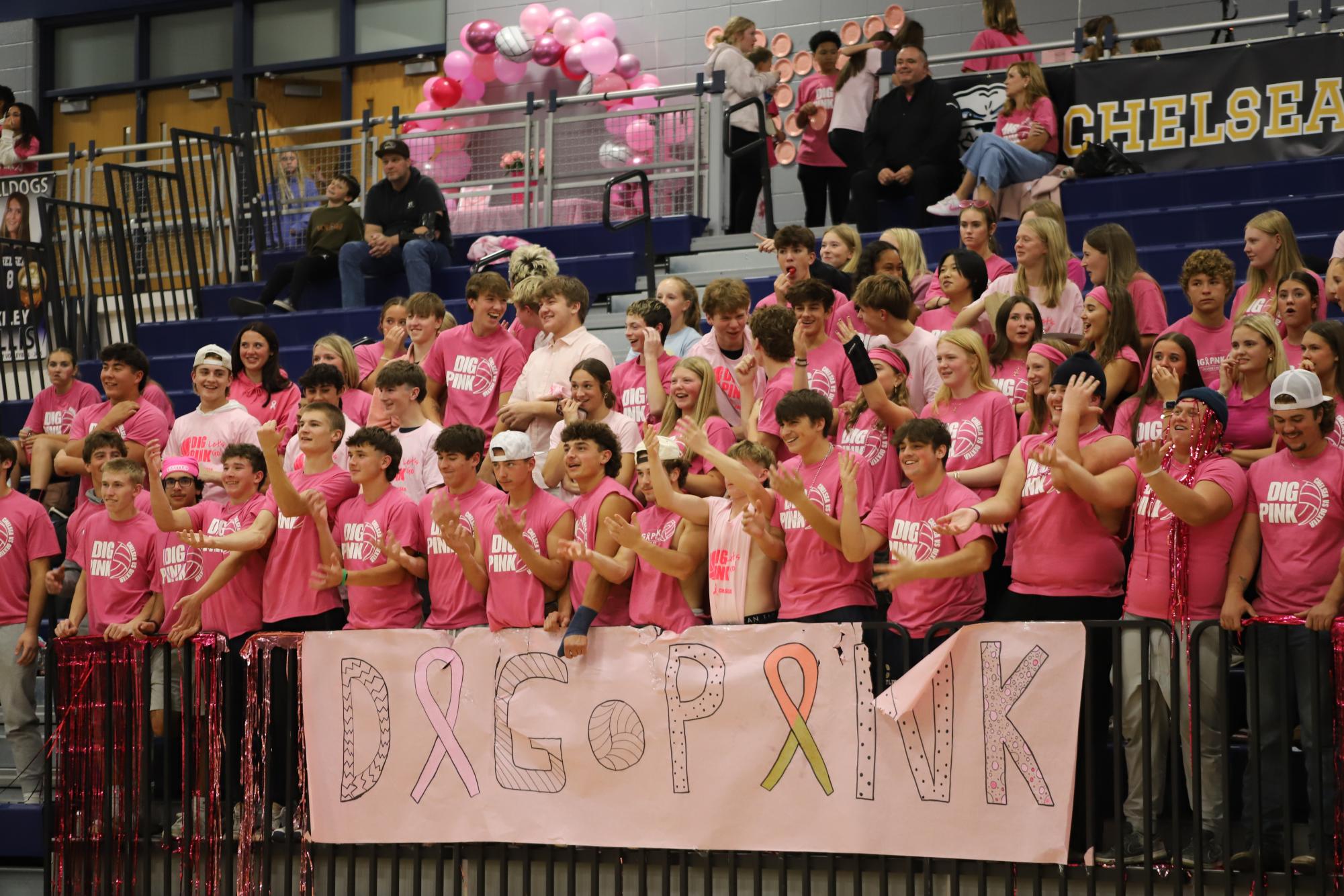 Playing for a Purpose: Dig Pink
