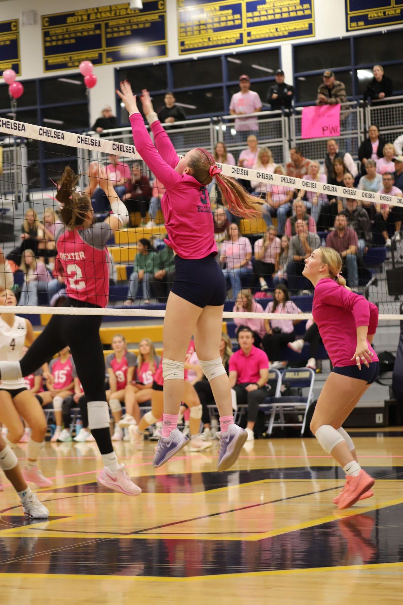 Playing for a Purpose: Dig Pink