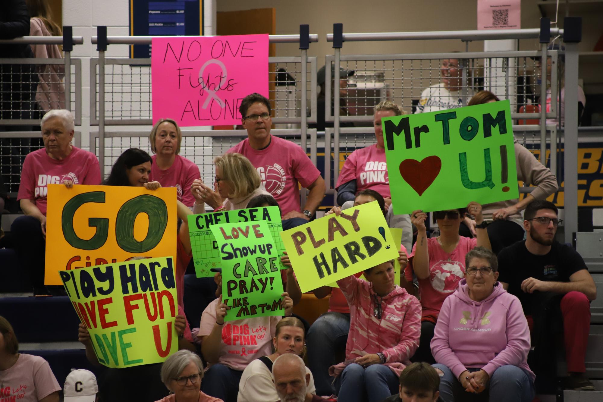 Playing for a Purpose: Dig Pink