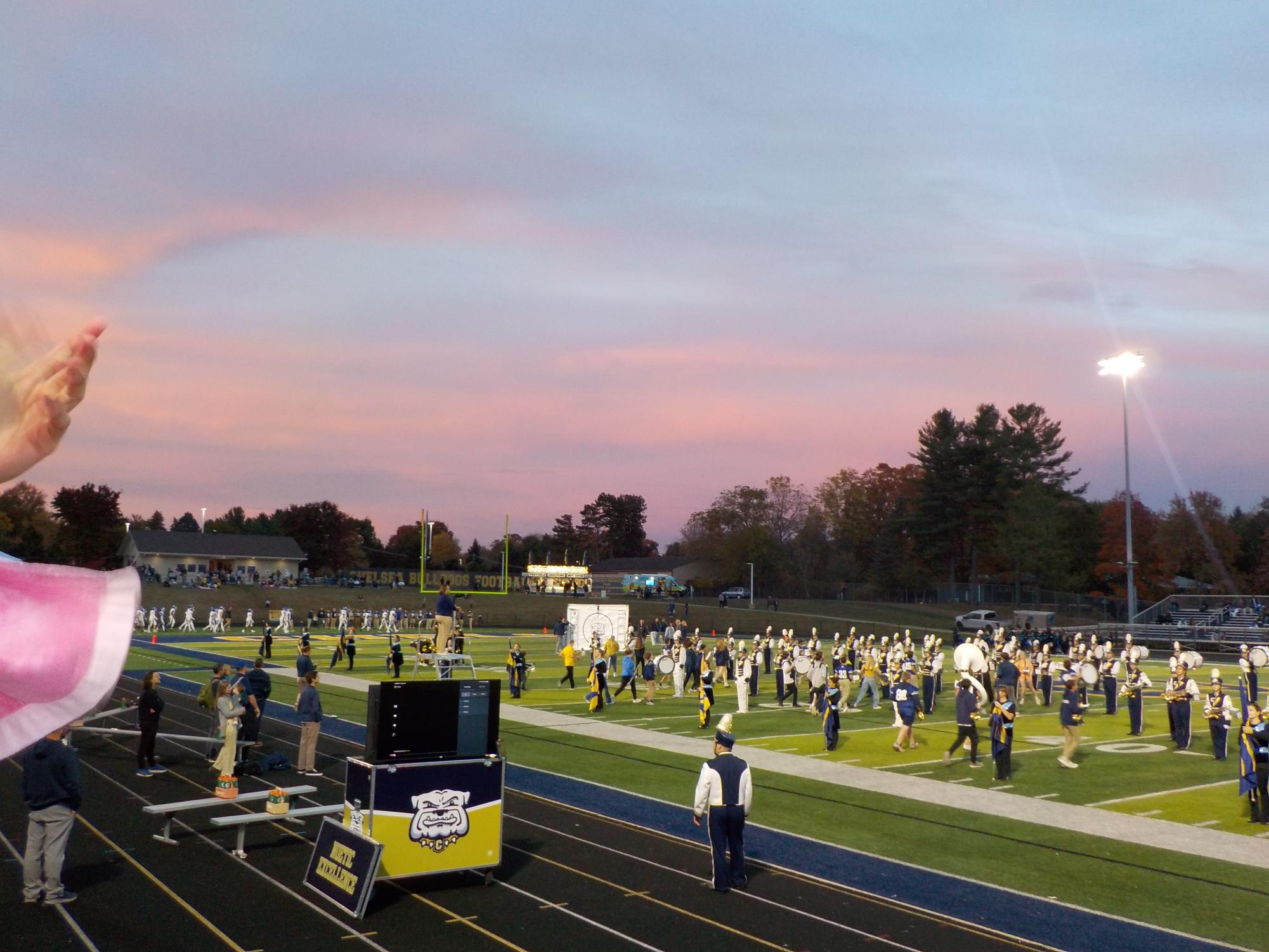 The Stu View