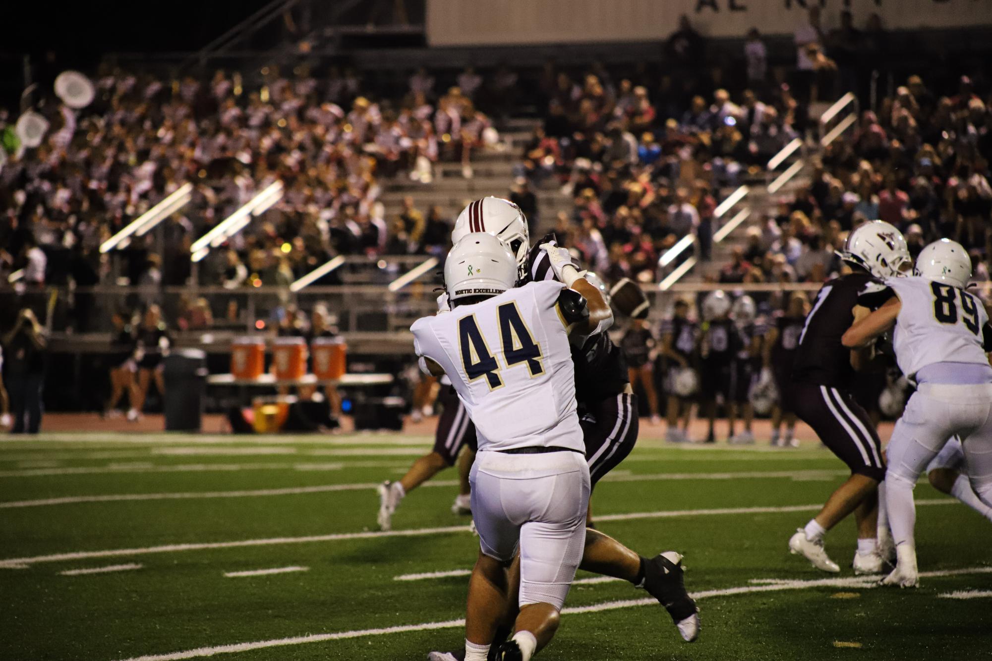 Fall Favorites: Best of Athletics