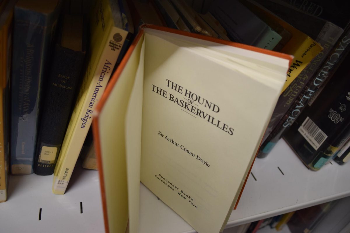 Discovering a Detective Novel