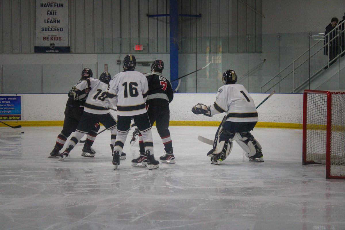 Hockey Game 